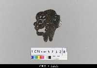 藏品(中國湖北皮影戲偶頭-淨)的圖片